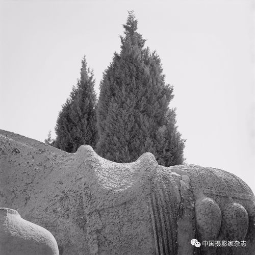 马革哪年出生的?迪森股份总经理