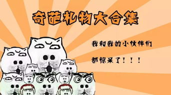 我加综艺免费观看完整版，我加综艺怎么看不了