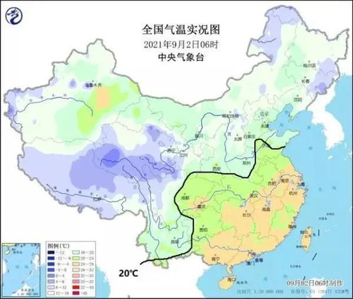才种的菜种子被蚂蚁吃了怎么办?