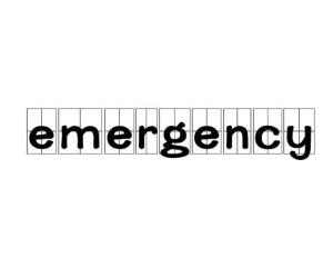 emergency什么意思 emergency的解释