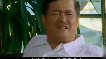 崔泽东，崔策高考