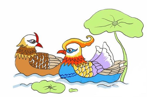 鸳鸯在沙子上睡觉的简笔画