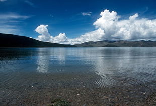 lake是什么意思，lake英语怎么读