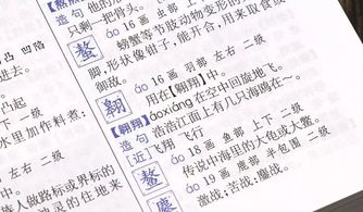 “ran”开头的成语有哪些?