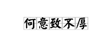 致的意思是什么?