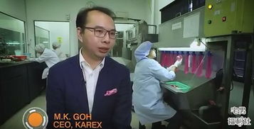 摩顶放踵天下而为之，墨家 摩顶放踵