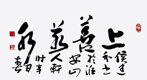 脊背拼音怎么读，脊梁拼音怎么读音正确