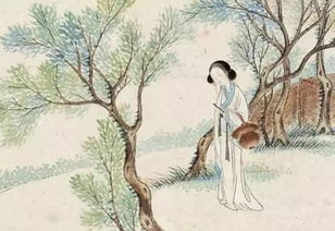 《诗经卷耳》的全文内容是什么?
