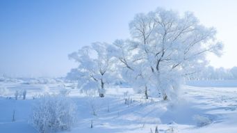 给女儿起名字叫寒雪好不好?