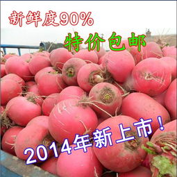 大萝卜怎么做好吃
