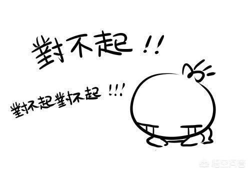 道歉的花语是什么花，冒犯别人道歉的话语