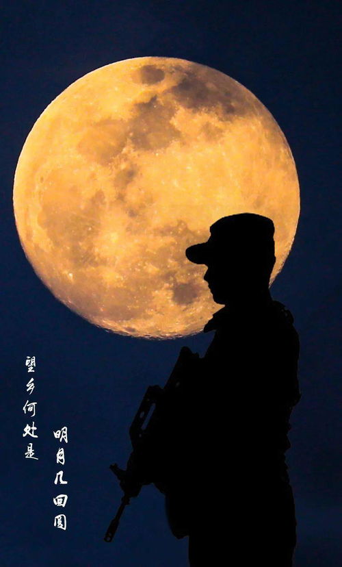 团圆的意思