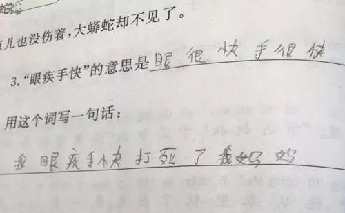 文章的造句文章的造句是什么