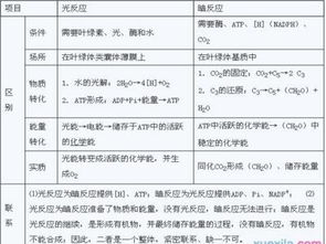 O2是在化学中是什么意思?~