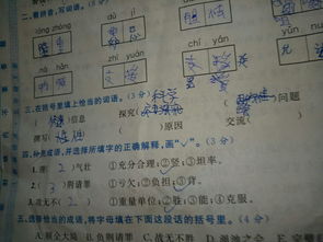 面能组什么词语