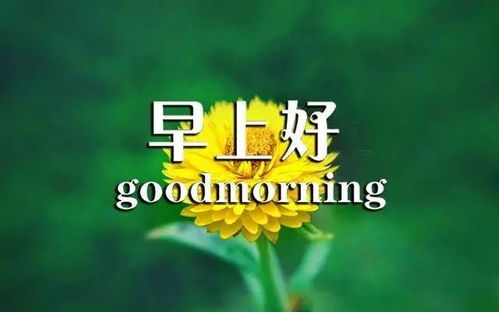 健康美好的明天是什么意思呀