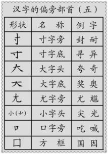 类查什么部首