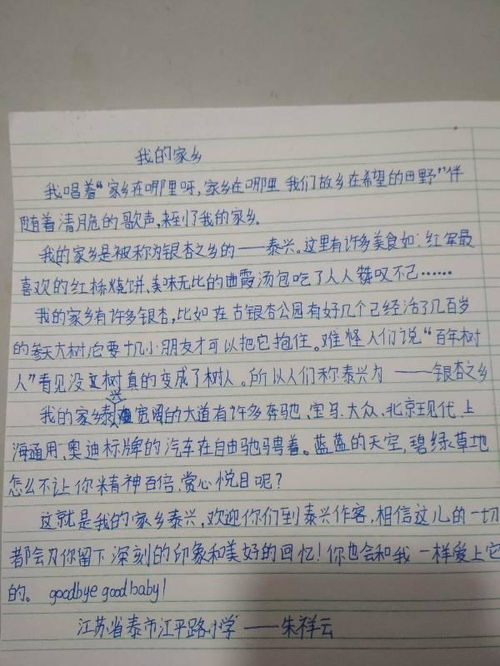 家乡的风俗作文300字春节，家乡的风俗作文300字河南