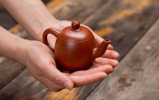 茶壶里煮饺子—(歇后语)