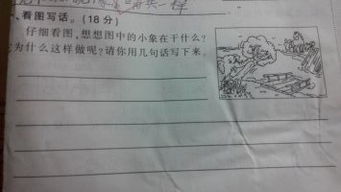 小动物过河,二年级看图写话200字