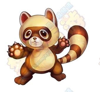 狸子，狸花猫图片