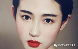 扬眉吐气，扬眉吐气的扬字是什么意思