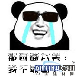 那群白鸽背对着夕阳那画面太美我不敢看，那画面太美我不敢看歌词