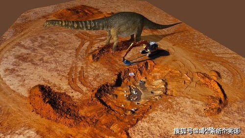 播种打一动物名 谜语