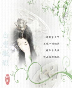 白璧微瑕什么意思，白璧微瑕by天时
