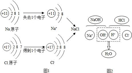 氯化钠是由什么构成的?