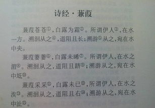 在水一方上一句