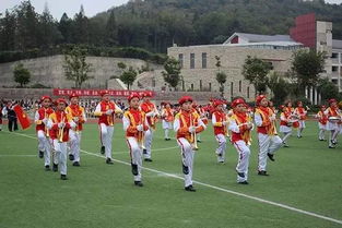 中国少年先锋队网址，中国少年先锋队网站官网