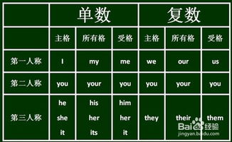 代名词是什么意思