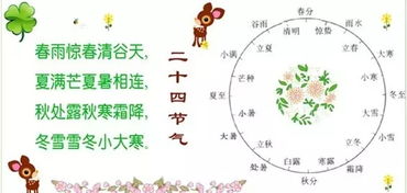 二十四节气对应的食物图片