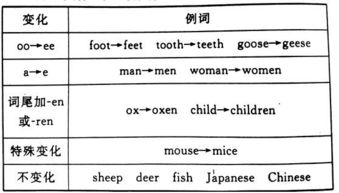 it的复数怎么变，it的复数用英语怎么说