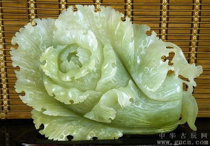 玉白菜怎么保养?