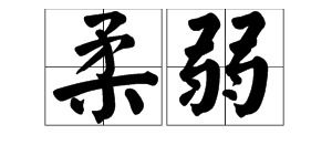 柔软近义词字构成的词语，柔软近义词构成的成语