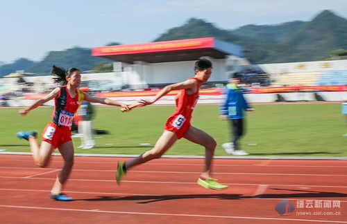 接力赛4x100，接力赛教案大班