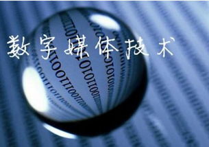 数字媒体技术专业就业方向及前景，数字媒体技术考研方向不用考数学
