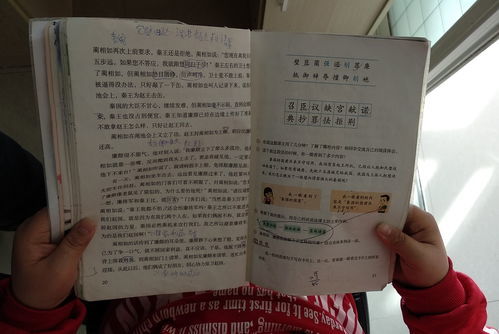 认真的反义词二年级下册，认真的反义词是什么二年级