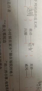 美妙的近义词语是什么，美妙绝伦的近义词