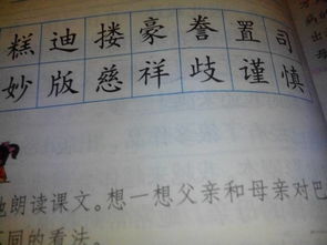 详怎么组词是什么，详怎么组词语和拼音怎么写