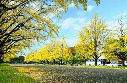 含秋的四字词语100个，含秋天的四字词语