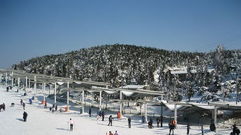 商量岗滑雪场什么时候开放，商量岗滑雪场多大
