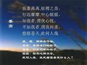景致是什么意思，致密是什么意思