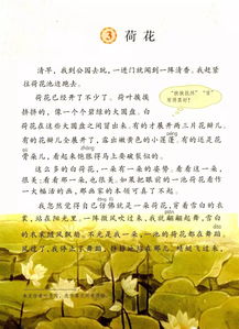 三年级语文下册课本古诗，三年级语文下册课本生字表