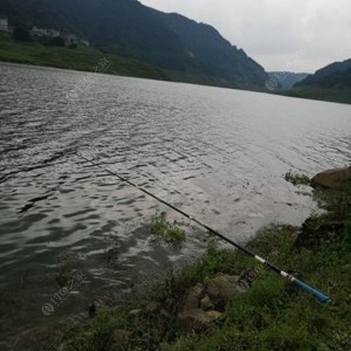 鲁班水库是四川第几大水库，鲁班水库水源从哪来的