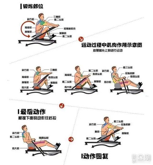 划船的拼音怎么拼写，划船的拼音和组词