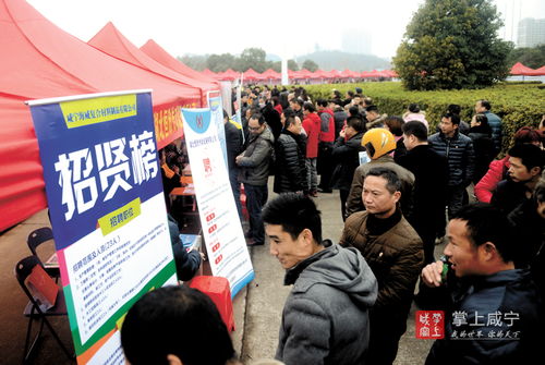 春风行动招聘会简报，春风行动招聘会宣传报道