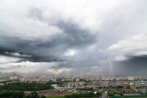 遵义天气预报15天当地，遵义天气预报7 天